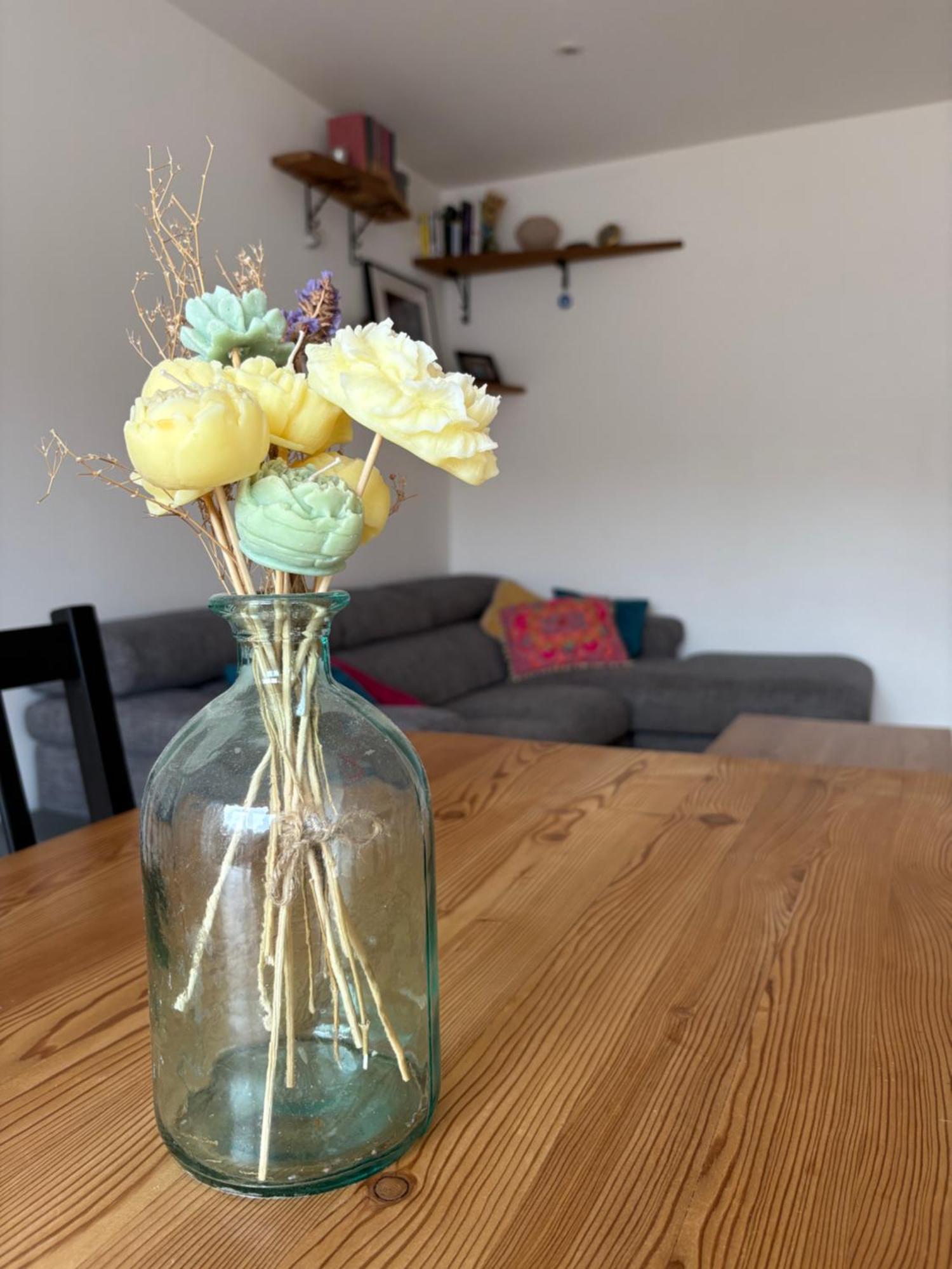 Riante Colline House Apartment Annecy Ngoại thất bức ảnh